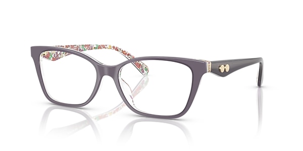 Coach Glasses HC6248U