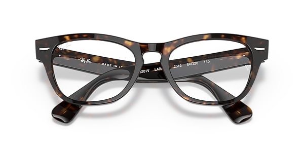 Ray-Ban Glasses RB2201V LARAMIE OPTICS