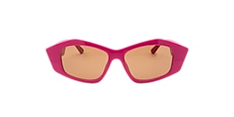 Clearly Sunglasses BRUSHES