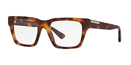 Gucci Glasses GG1889O