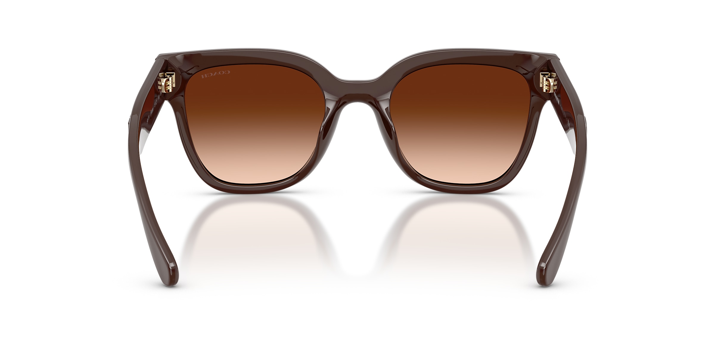 Coach Sunglasses HC8460U CFT88