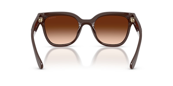 Coach Sunglasses HC8460U CFT88