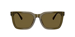 Coach Sunglasses HC8466U CFU12