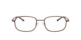 Clearly Glasses KNIGHTLY