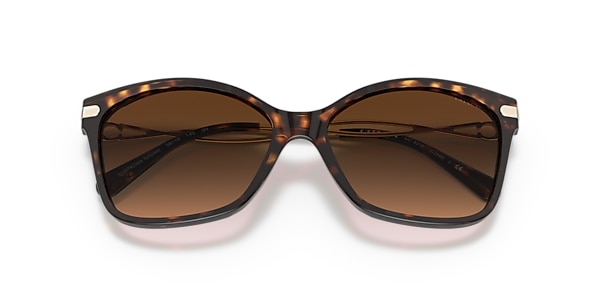 Coach Sunglasses HC8316 C3446