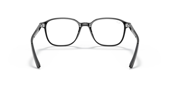 RB5393 LEONARD OPTICS