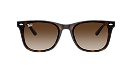 Ray-Ban Sunglasses RB4420