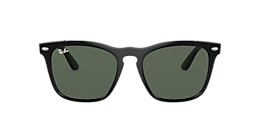 Ray-Ban Sunglasses RB4487 STEVE