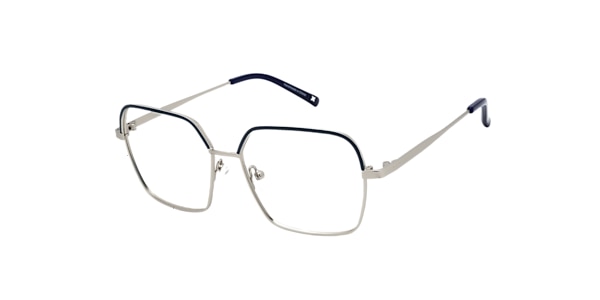 Clearly Glasses ERINOME