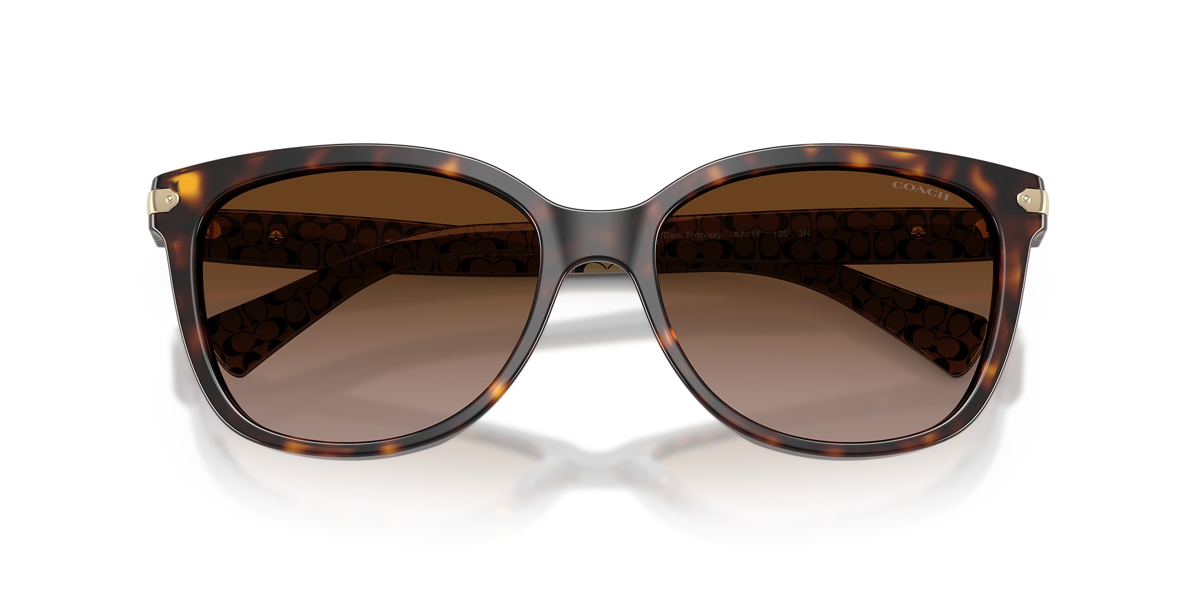 Coach Sunglasses HC8132 L109