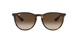 Ray-Ban Sunglasses RB4171F ERIKA CLASSIC