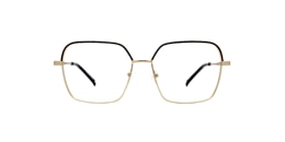 Clearly Glasses ERINOME