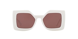 Clearly Sunglasses TILT COVE