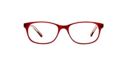 Clearly Glasses KIT