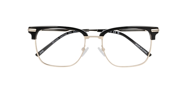 Clearly Glasses CACTUS