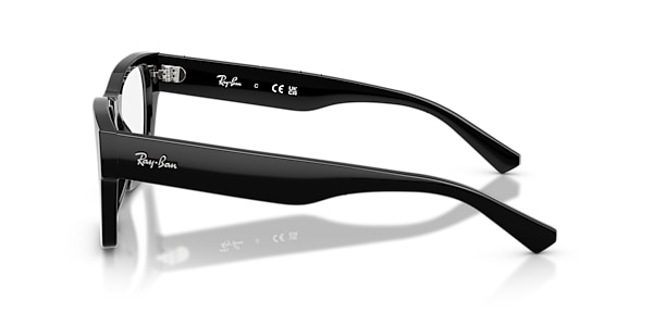 RB5448 OPTICS