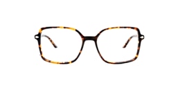 Clearly Glasses CHARLOTTE