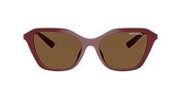 Armani Exchange Sunglasses AX4173SU