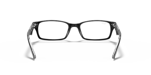 RB5206 OPTICS
