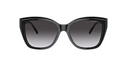 Emporio Armani Sunglasses EA4198