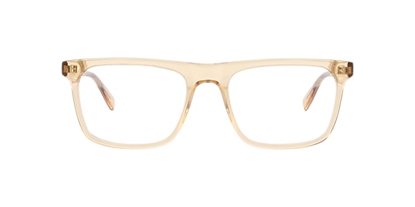 Clearly Glasses DARCY