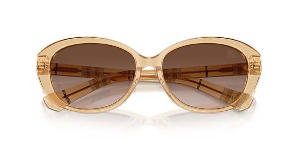 Burberry Sunglasses BE4507D