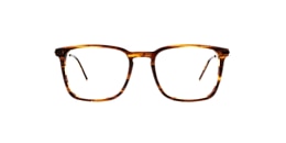 Clearly Glasses SMITH