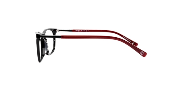 Clearly Glasses VELA