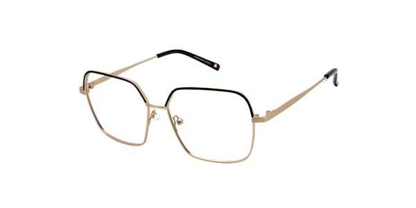 Clearly Glasses ERINOME