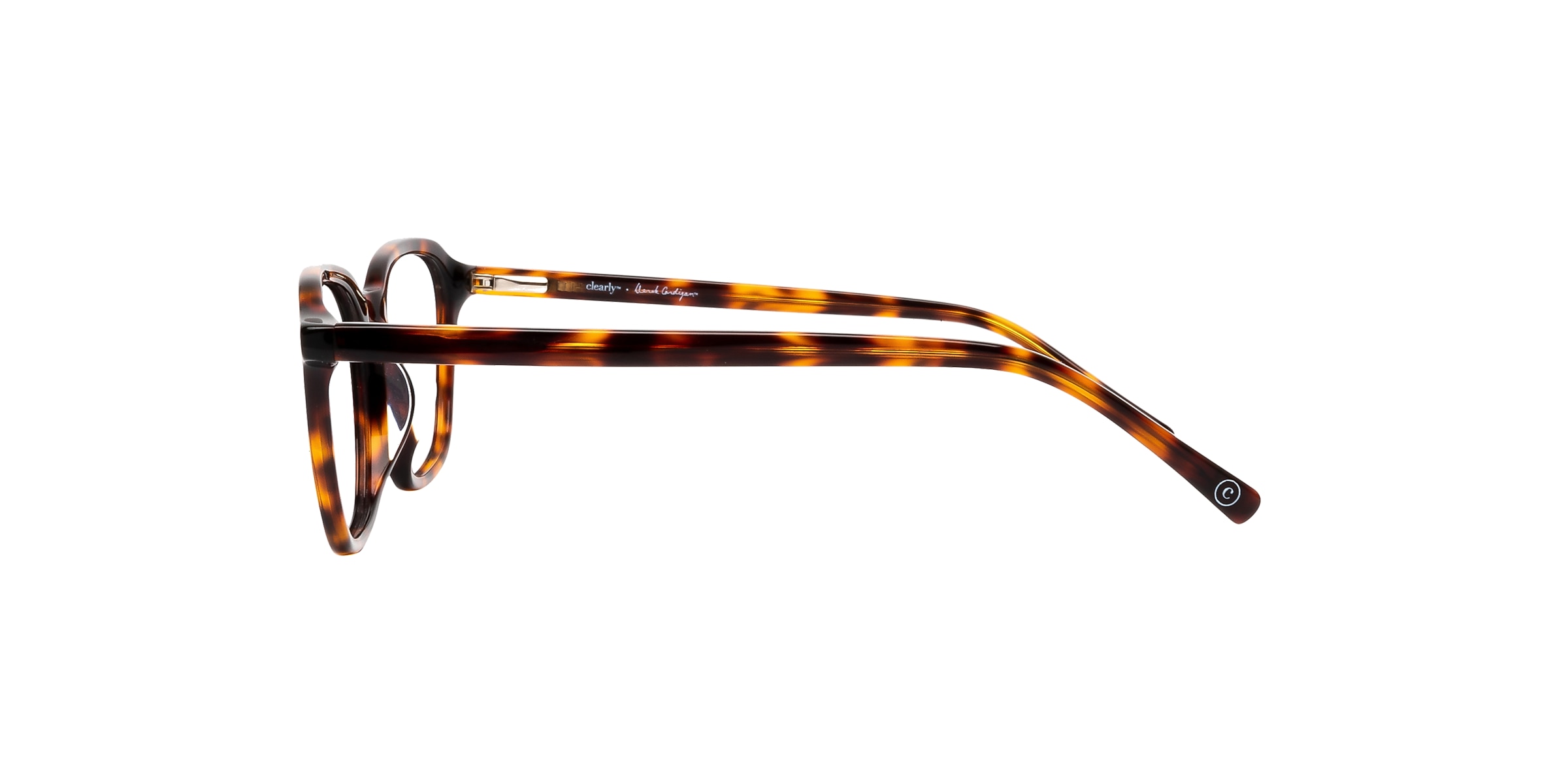 Clearly Glasses CARINA