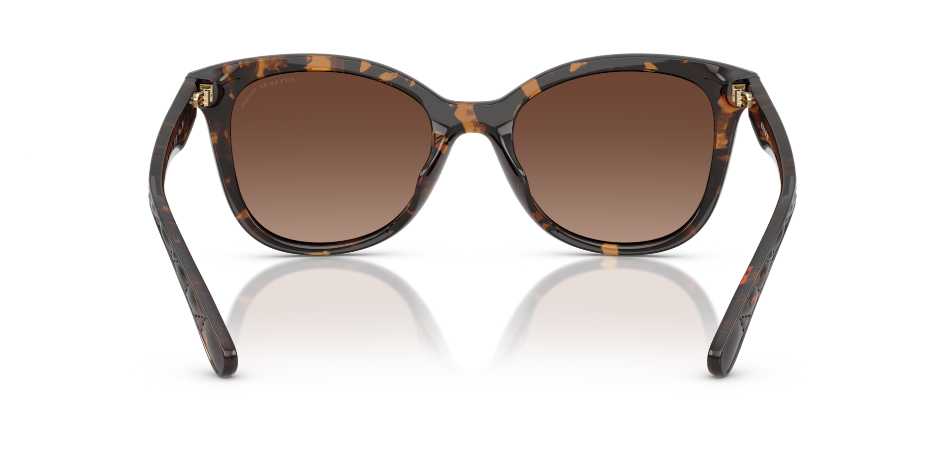 Coach HC8419U CAD25 Sunglasses | Clearly