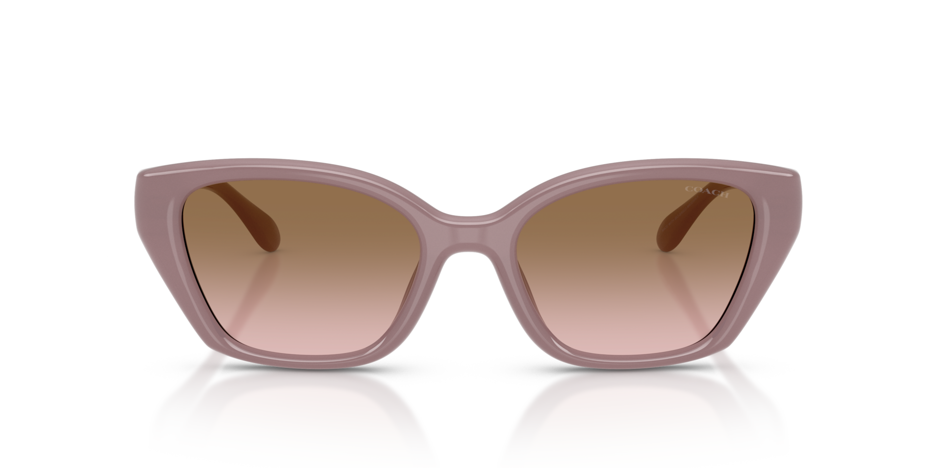 Coach HC8434U CBY91 Sunglasses | Clearly