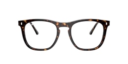 Ray-Ban Glasses RB2210V OPTICS