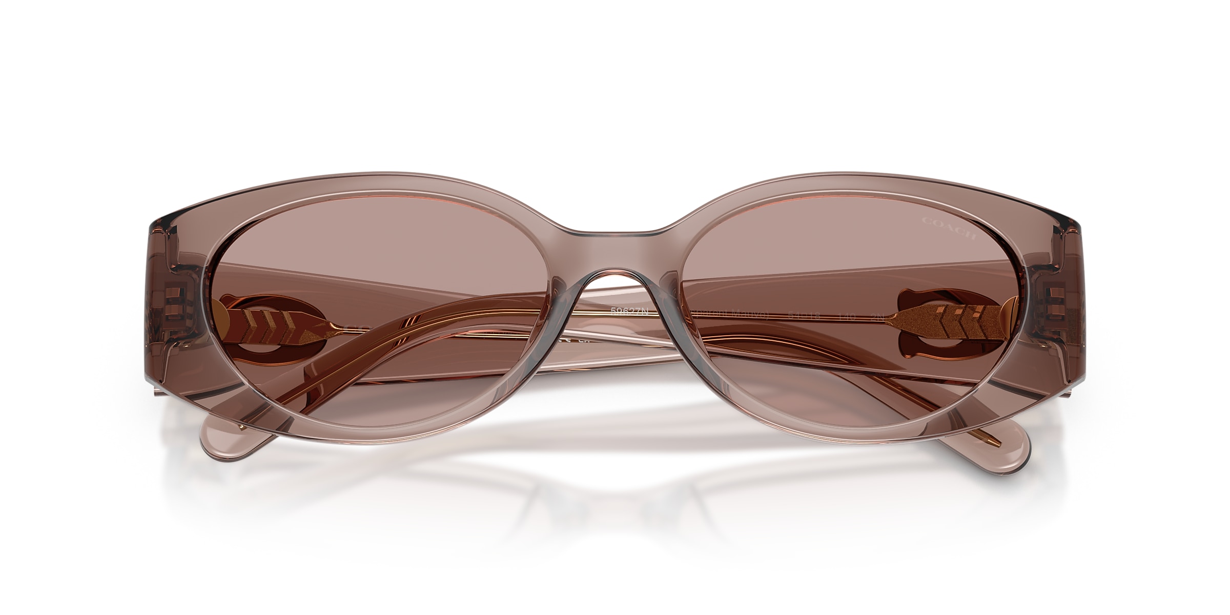 Coach Sunglasses HC8462U CFU06