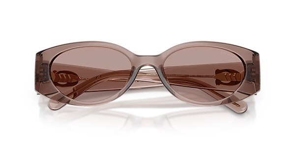 Coach Sunglasses HC8462U CFU06