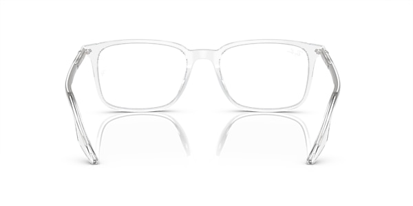 RB5421 OPTICS