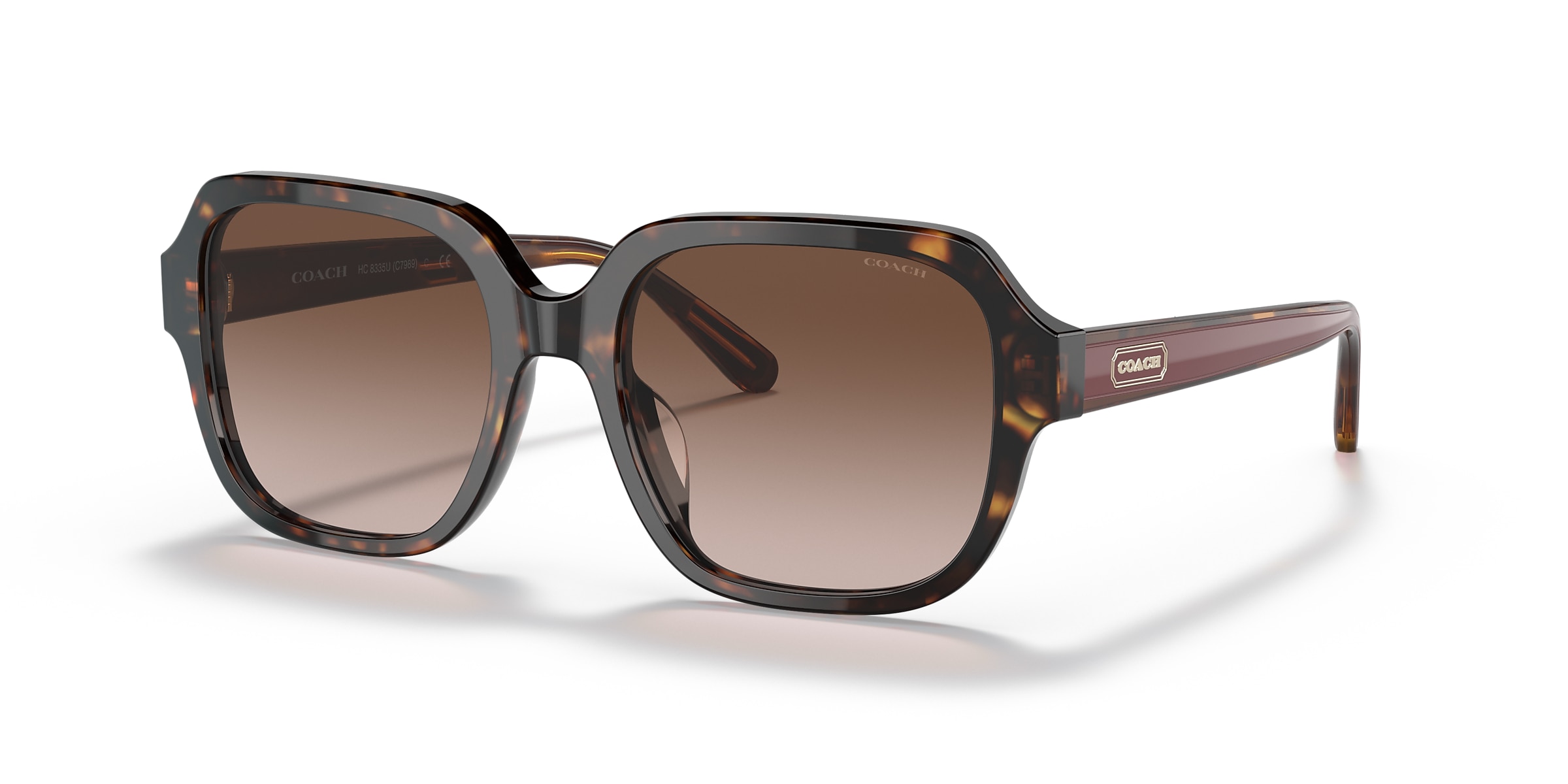 Coach Sunglasses HC8335U C7989