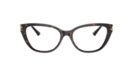 Jimmy Choo Glasses JC3011