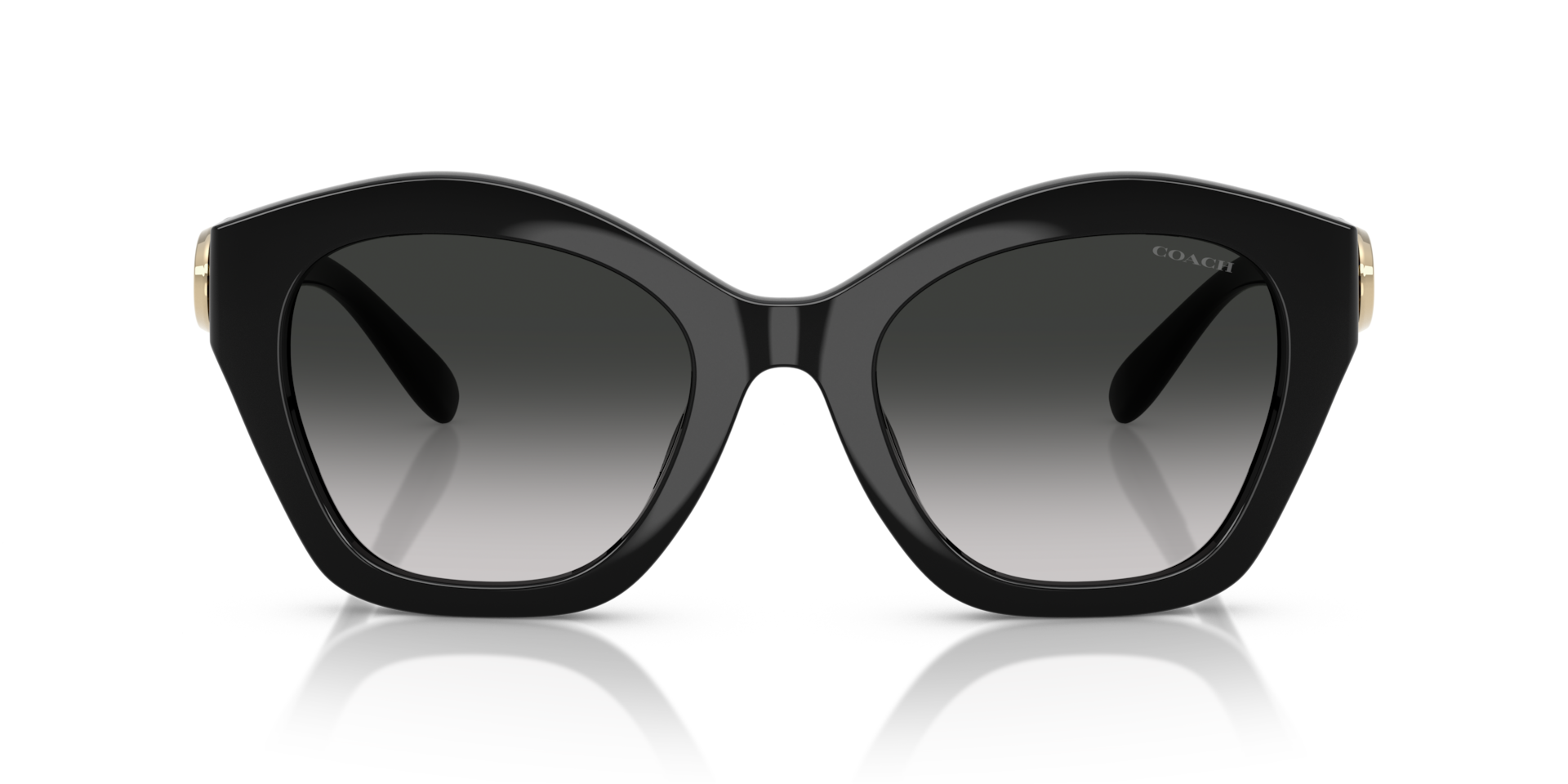 Coach HC8421U CAD31 50023C Women’s Sunglasses Black Size 54
