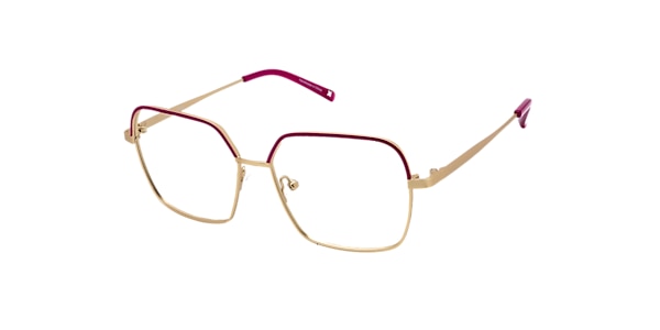 Clearly Glasses ERINOME