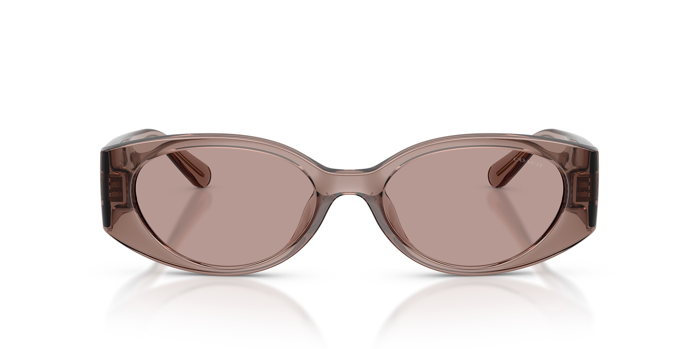 Coach Sunglasses HC8462U CFU06