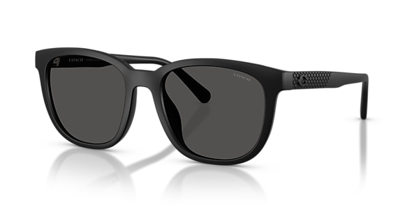 Coach Sunglasses HC8442U CCA00