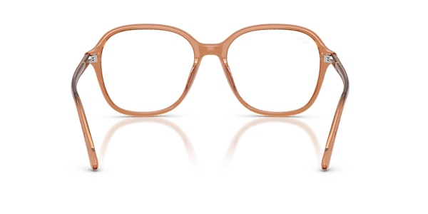 Ray-Ban Glasses RB5456 OPTICS