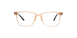 Clearly Glasses BURIN