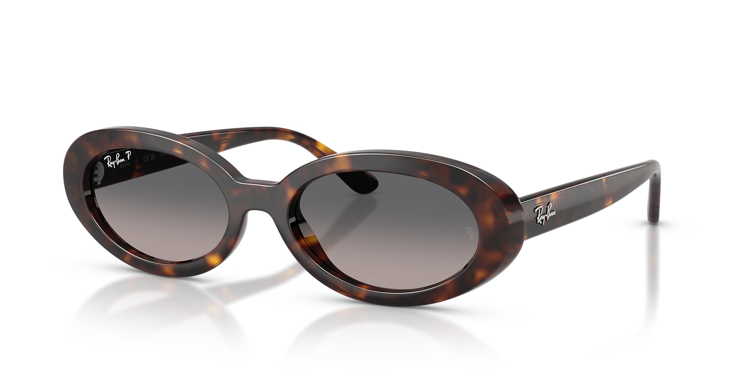 Ray-Ban Sunglasses RB2223