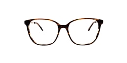 Clearly Glasses HEGEMONE