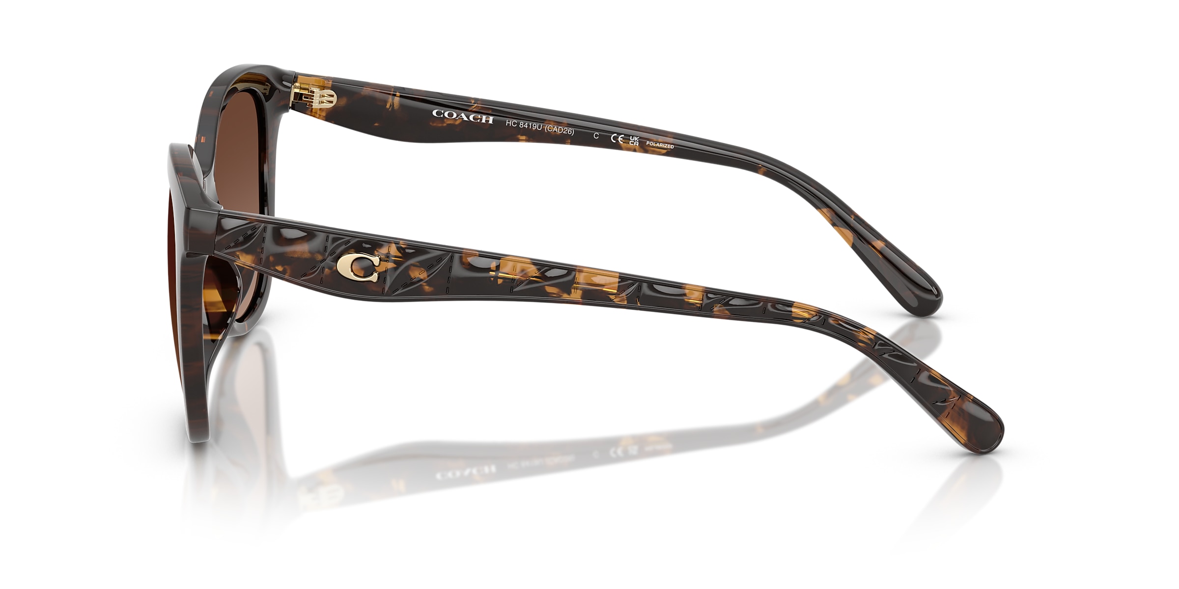 Coach Sunglasses HC8419U CAD25