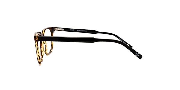 Clearly Glasses WINTHROP