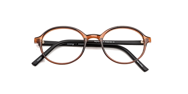 Clearly Glasses RAYMORE