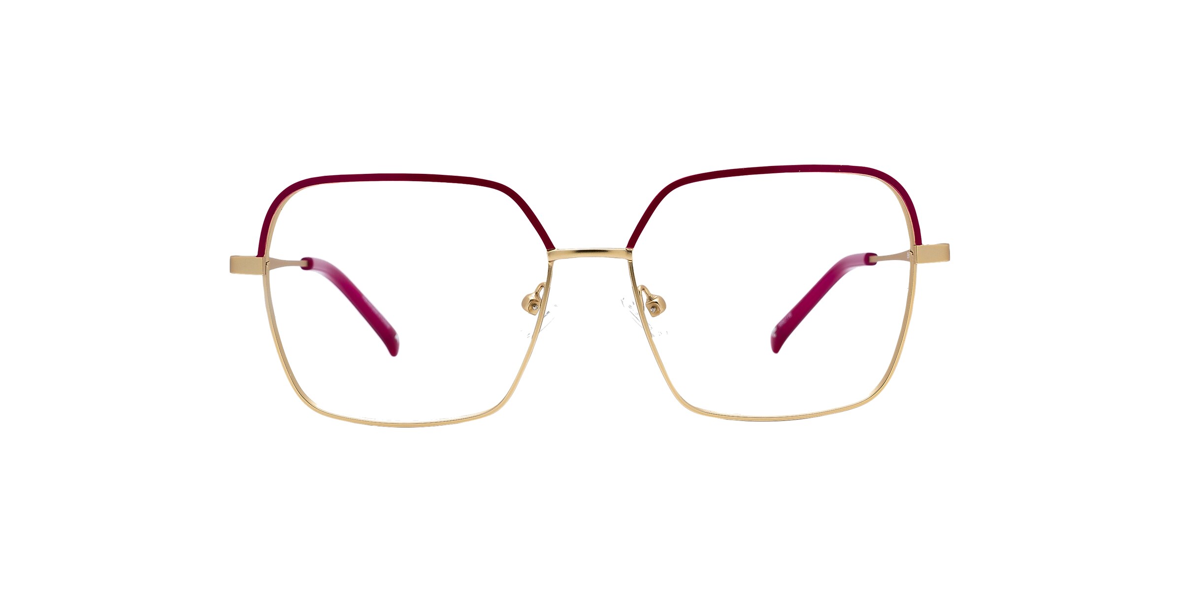 Clearly Glasses ERINOME